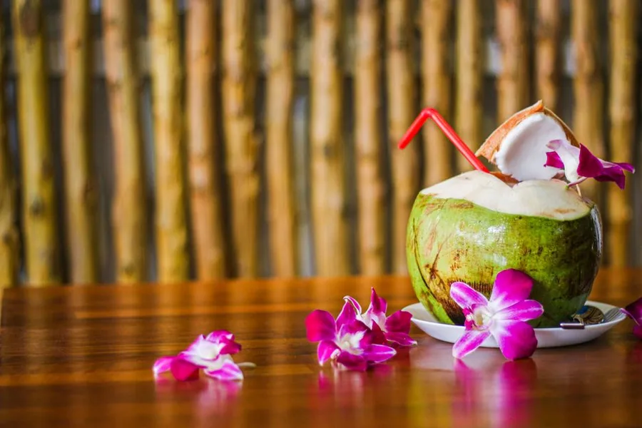 Bamboo Straws Explained: Uses, Care, and Environmental Impact